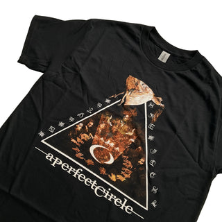 A Perfect Circle - Girl - Black T-Shirt A Perfect Circle